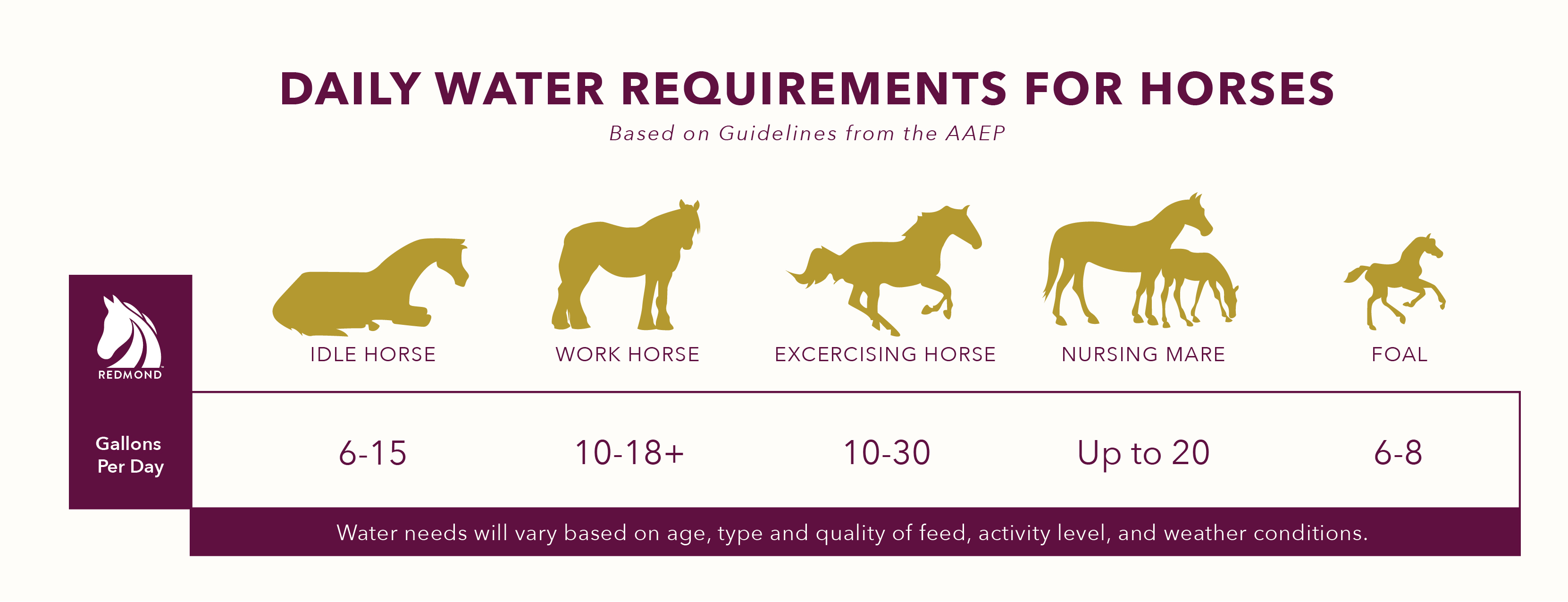 FAQ About Horses Water Tips to Get Your Horse Drinking